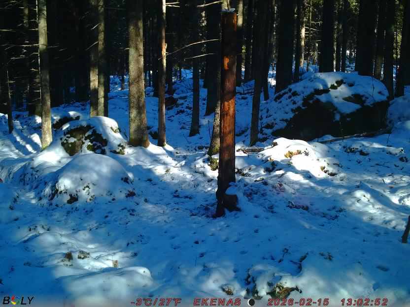 Bild från EKENÄSSALTSTEN