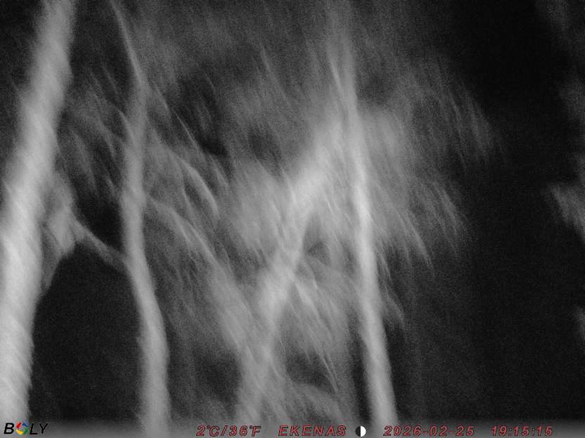 Bild från EKENÄSSALTSTEN