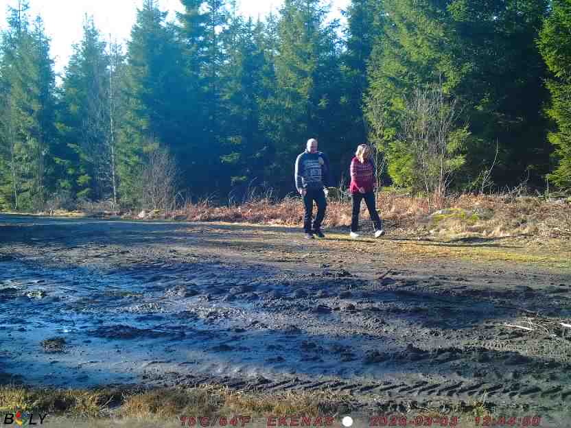 Bild från EKENÄSSALTSTEN