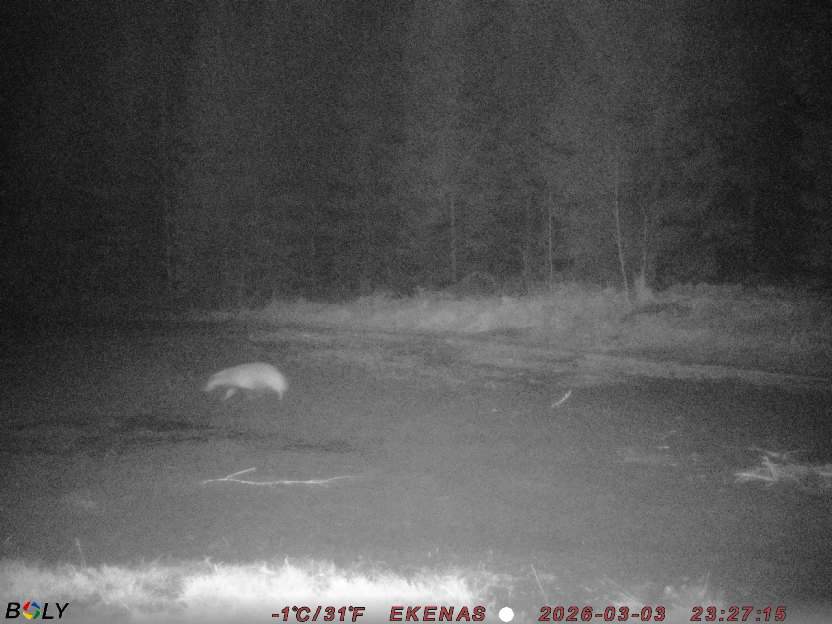 Bild från EKENÄSSALTSTEN