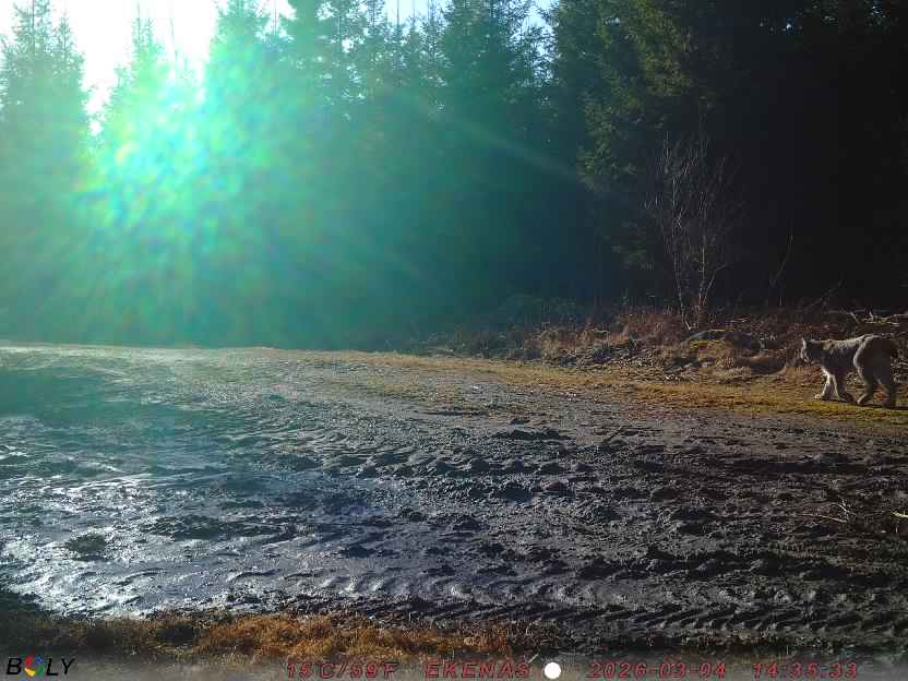 Bild från EKENÄSSALTSTEN