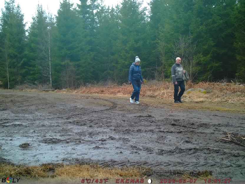 Bild från EKENÄSSALTSTEN