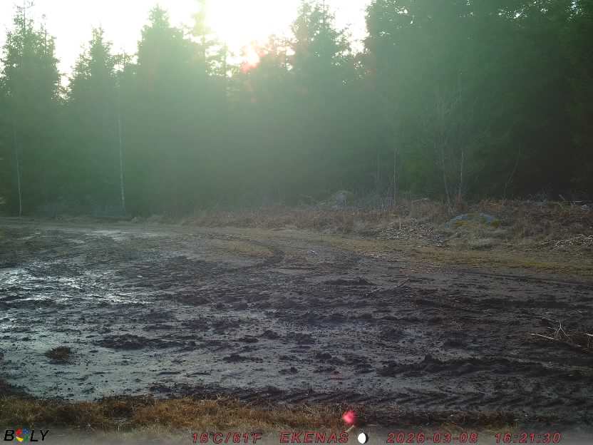 Bild från EKENÄSSALTSTEN