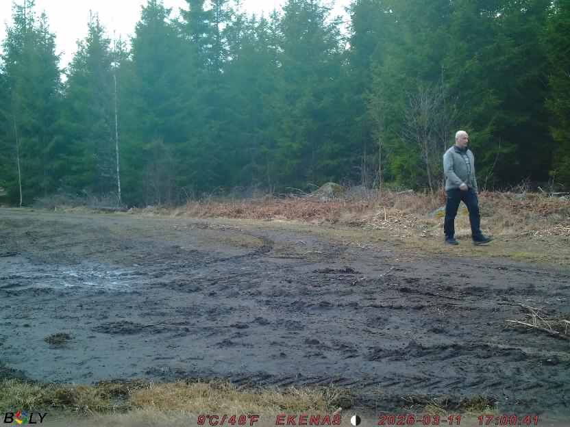 Bild från EKENÄSSALTSTEN