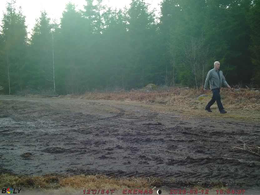 Bild från EKENÄSSALTSTEN