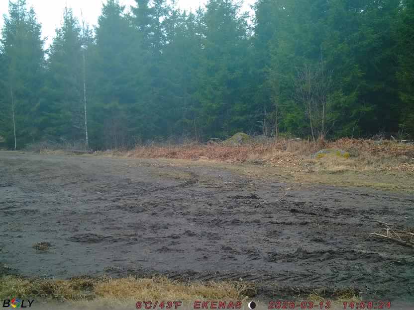 Bild från EKENÄSSALTSTEN