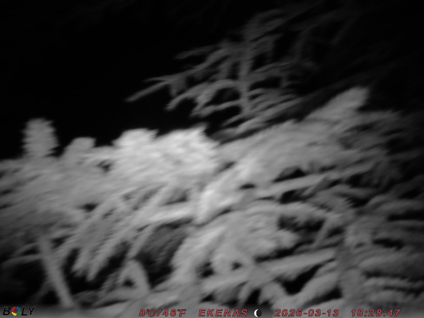 Bild från EKENÄSSALTSTEN