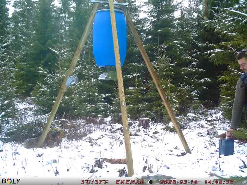 Bild från EKENÄSSALTSTEN