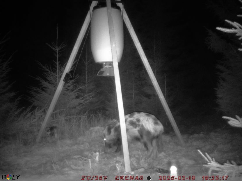 Bild från EKENÄSSALTSTEN