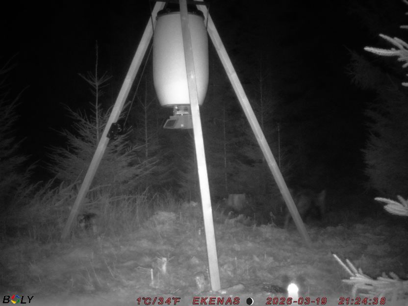 Bild från EKENÄSSALTSTEN