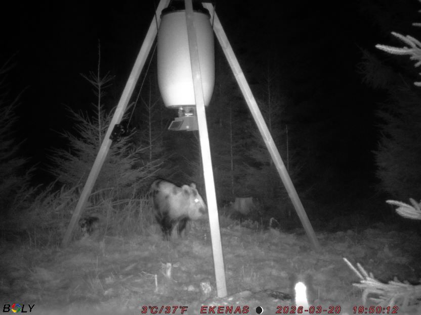 Bild från EKENÄSSALTSTEN