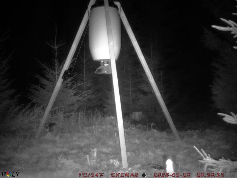 Bild från EKENÄSSALTSTEN