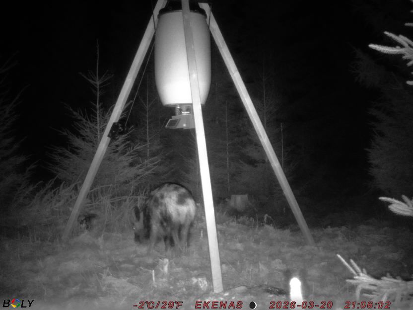 Bild från EKENÄSSALTSTEN