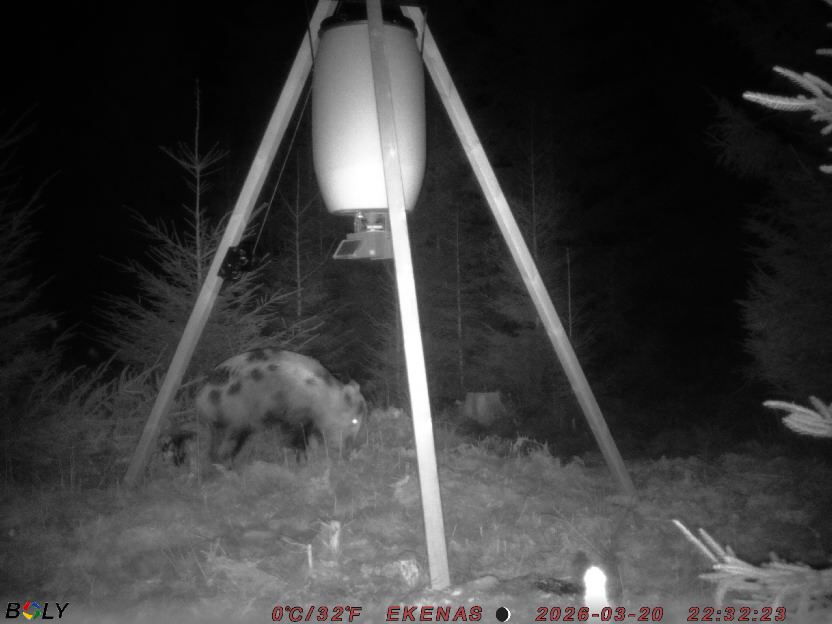 Bild från EKENÄSSALTSTEN