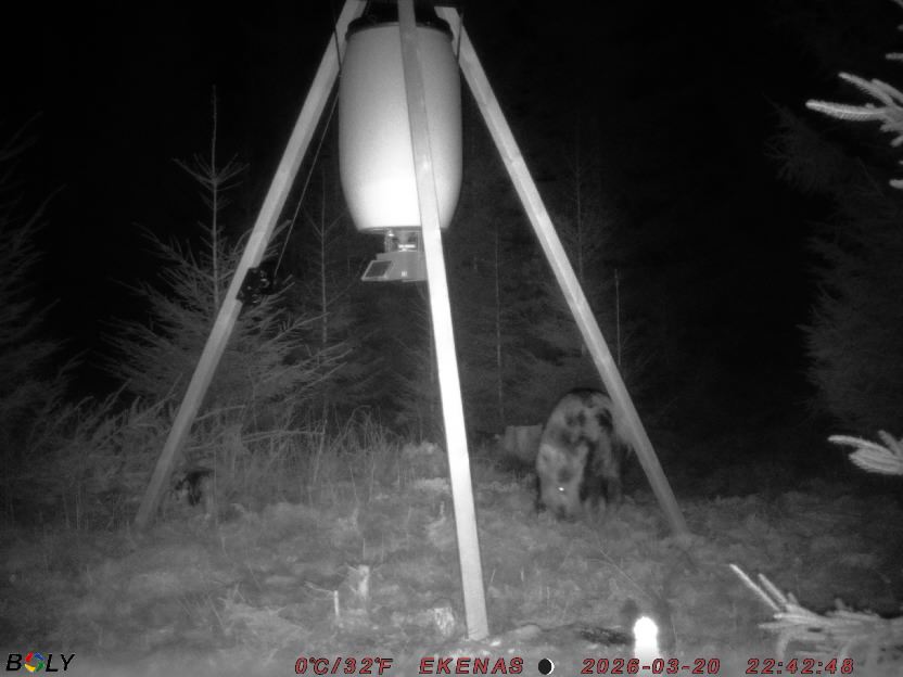 Bild från EKENÄSSALTSTEN