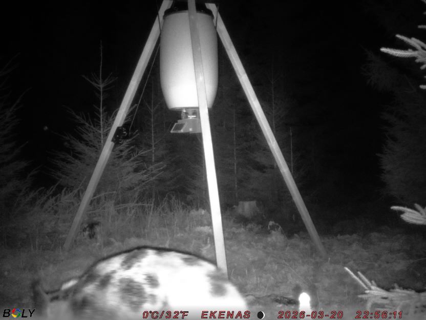 Bild från EKENÄSSALTSTEN