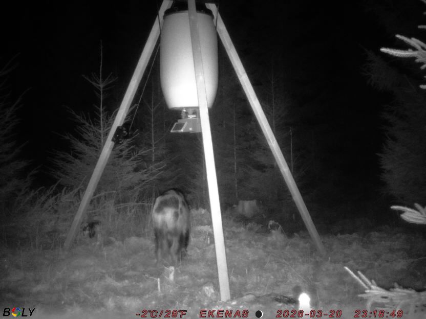 Bild från EKENÄSSALTSTEN