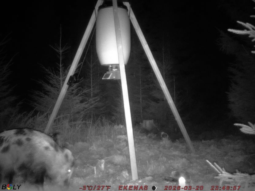 Bild från EKENÄSSALTSTEN