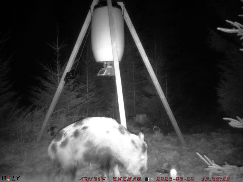 Bild från EKENÄSSALTSTEN