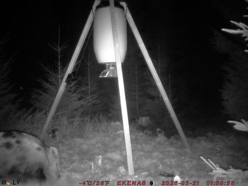 Bild från EKENÄSSALTSTEN