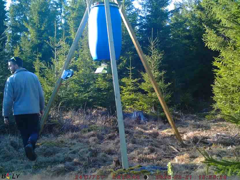 Bild från EKENÄSSALTSTEN