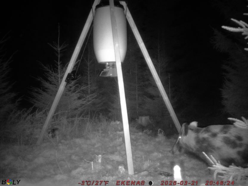 Bild från EKENÄSSALTSTEN