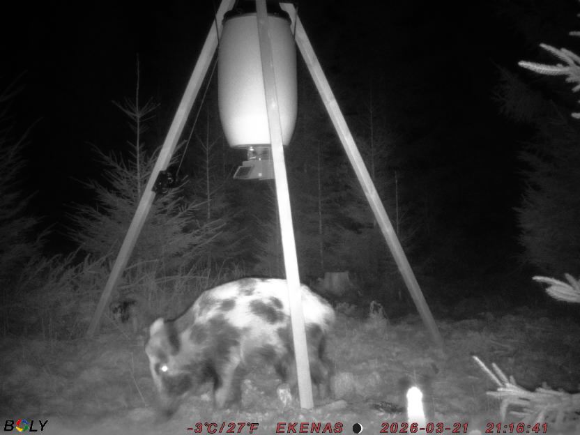 Bild från EKENÄSSALTSTEN