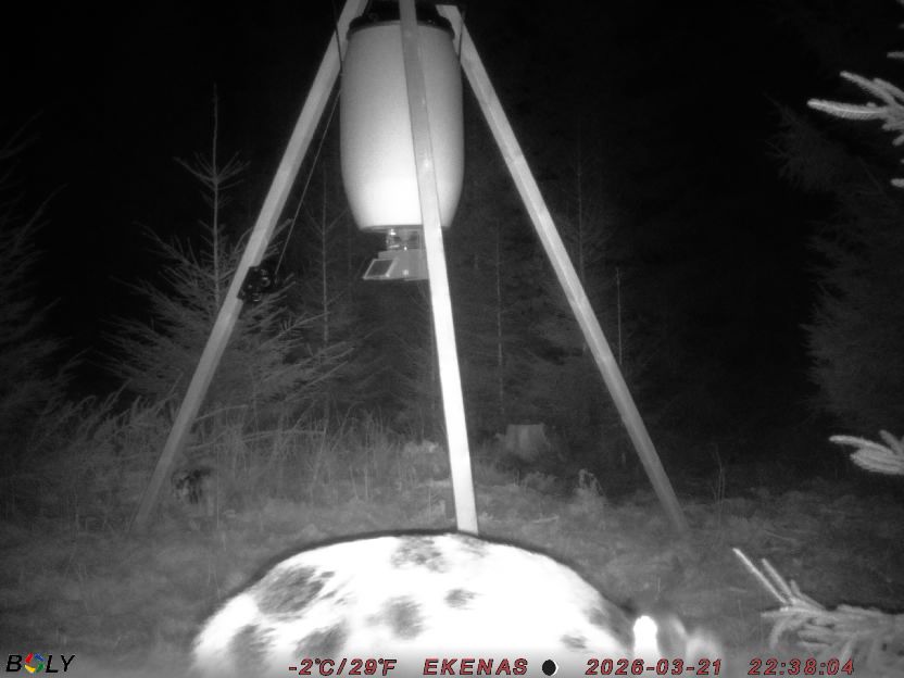 Bild från EKENÄSSALTSTEN