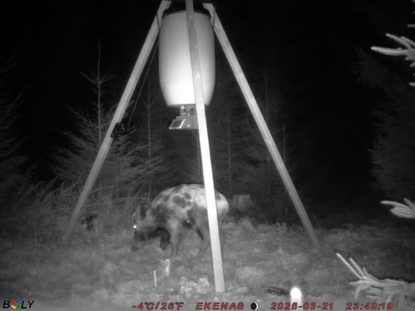 Bild från EKENÄSSALTSTEN