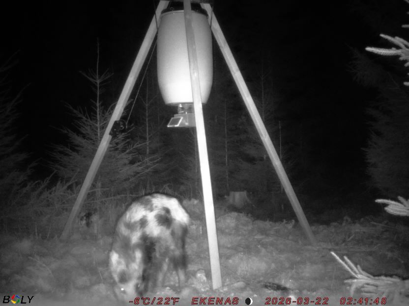 Bild från EKENÄSSALTSTEN