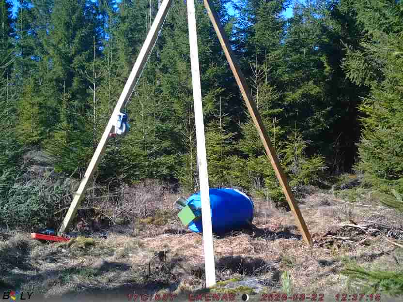 Bild från EKENÄSSALTSTEN