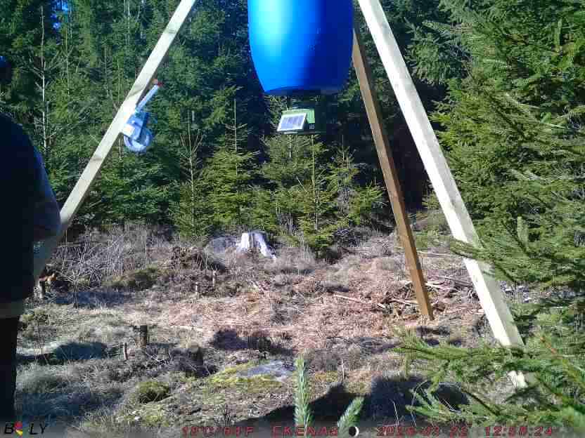 Bild från EKENÄSSALTSTEN