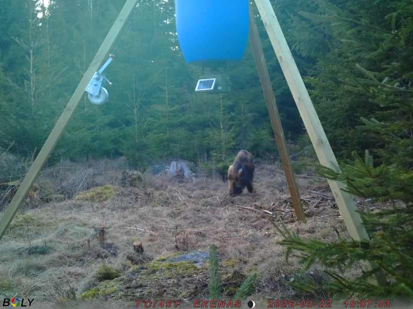 Bild från EKENÄSSALTSTEN