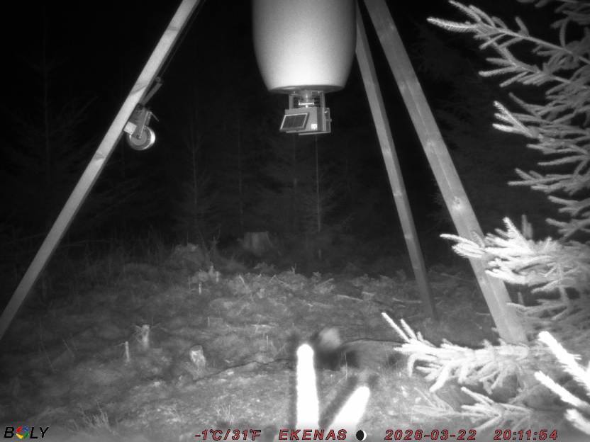 Bild från EKENÄSSALTSTEN