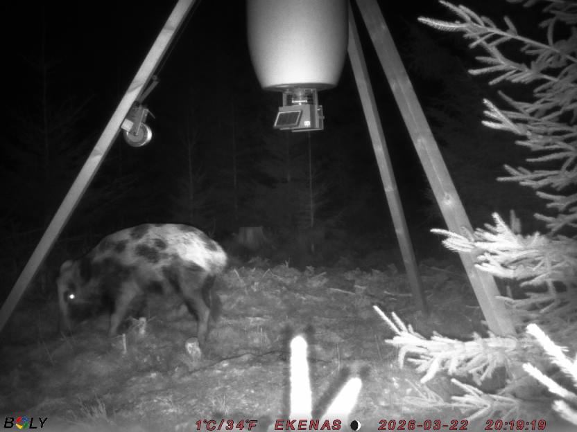 Bild från EKENÄSSALTSTEN