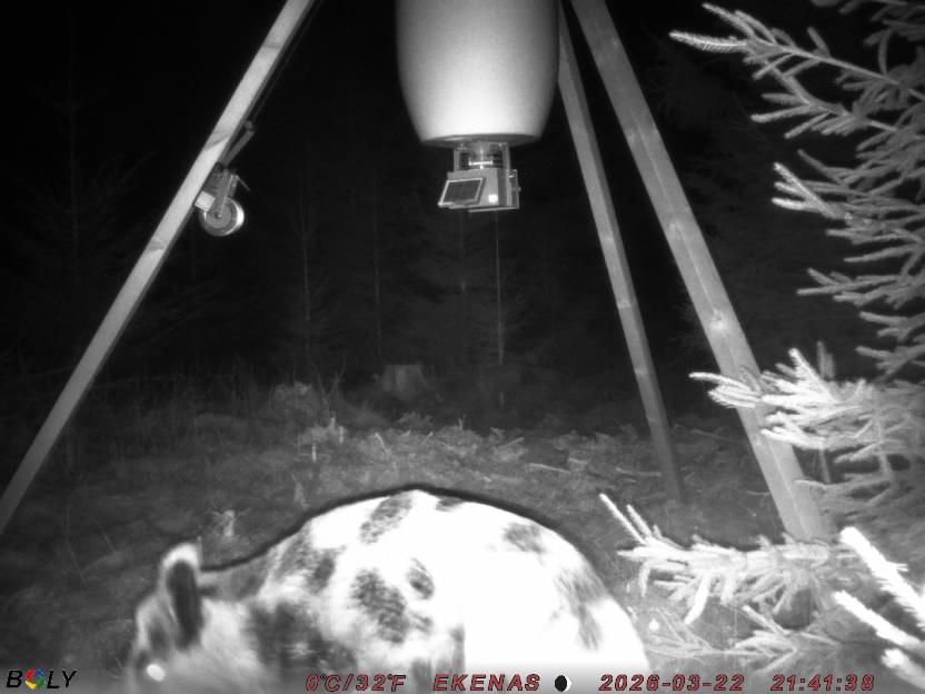 Bild från EKENÄSSALTSTEN