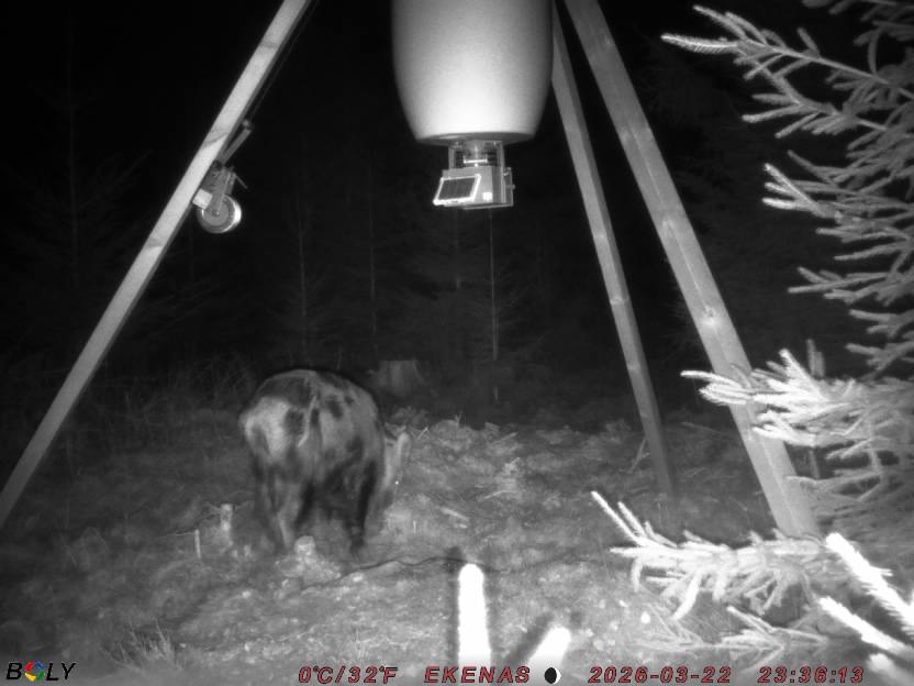 Bild från EKENÄSSALTSTEN