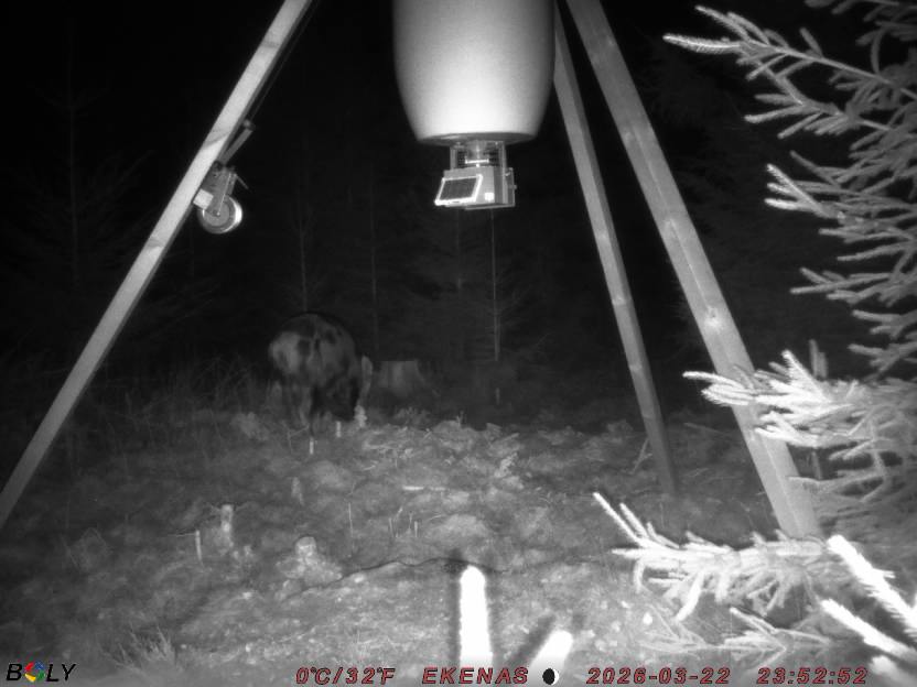 Bild från EKENÄSSALTSTEN