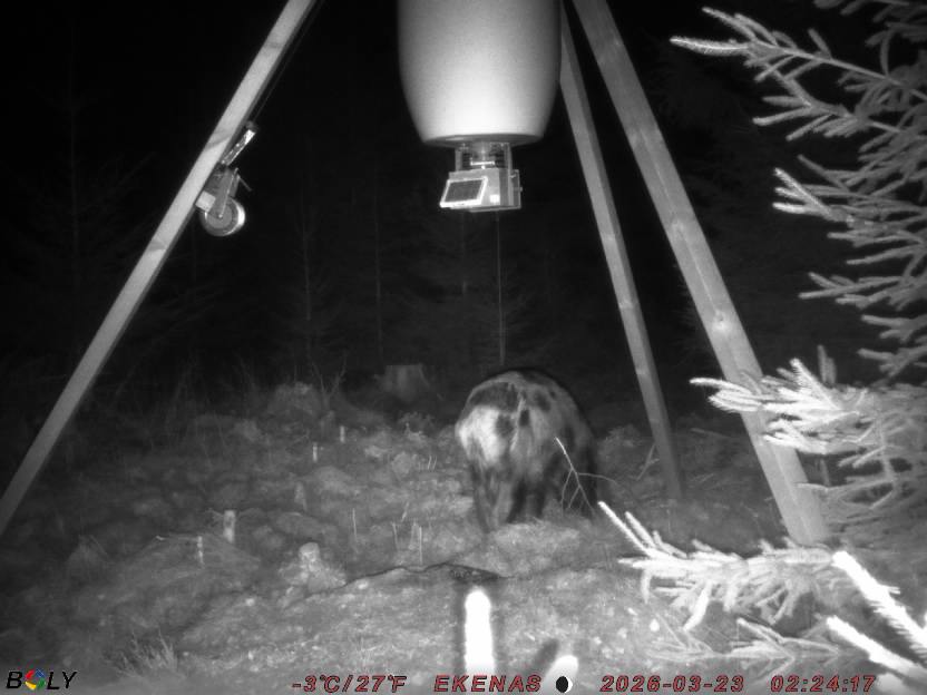 Bild från EKENÄSSALTSTEN