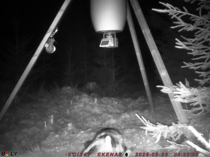 Bild från EKENÄSSALTSTEN