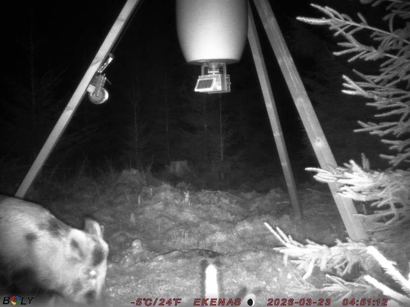 Bild från EKENÄSSALTSTEN