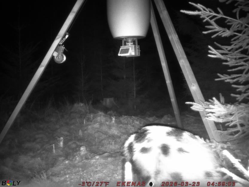 Bild från EKENÄSSALTSTEN