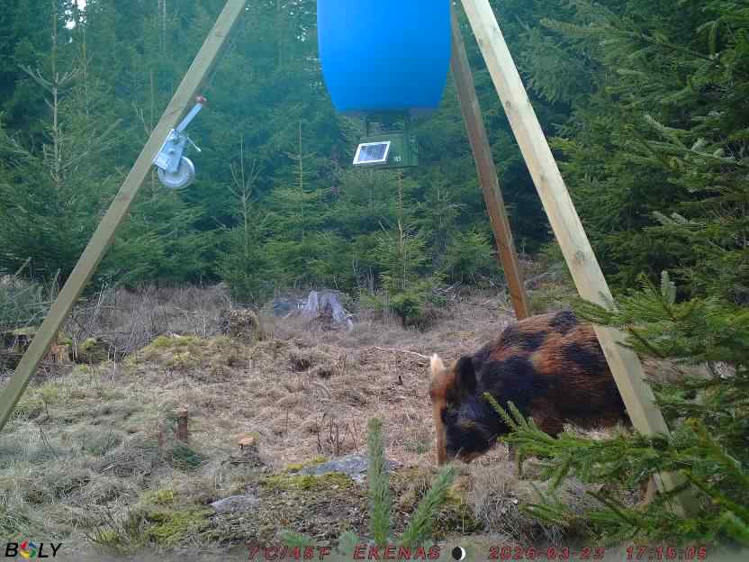 Bild från EKENÄSSALTSTEN