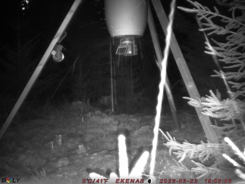 Bild från EKENÄSSALTSTEN