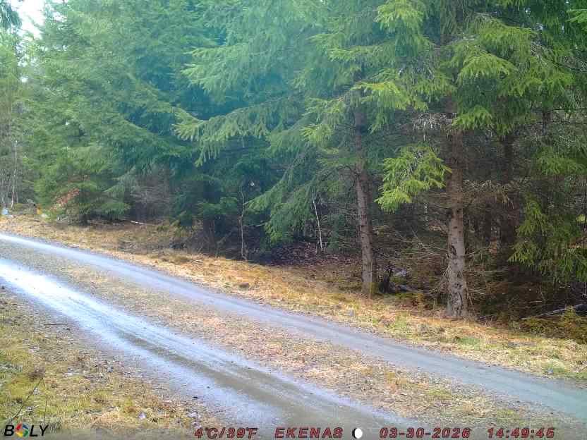 Bild från EKENÄSSALTSTEN