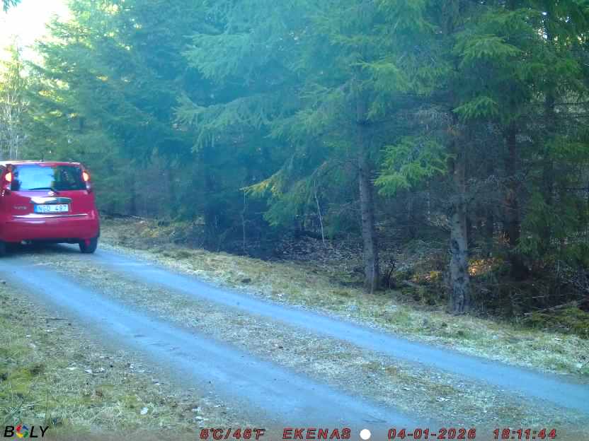 Bild från EKENÄSSALTSTEN