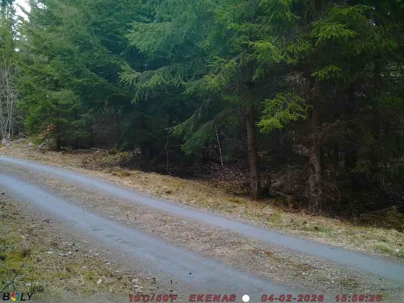 Bild från EKENÄSSALTSTEN