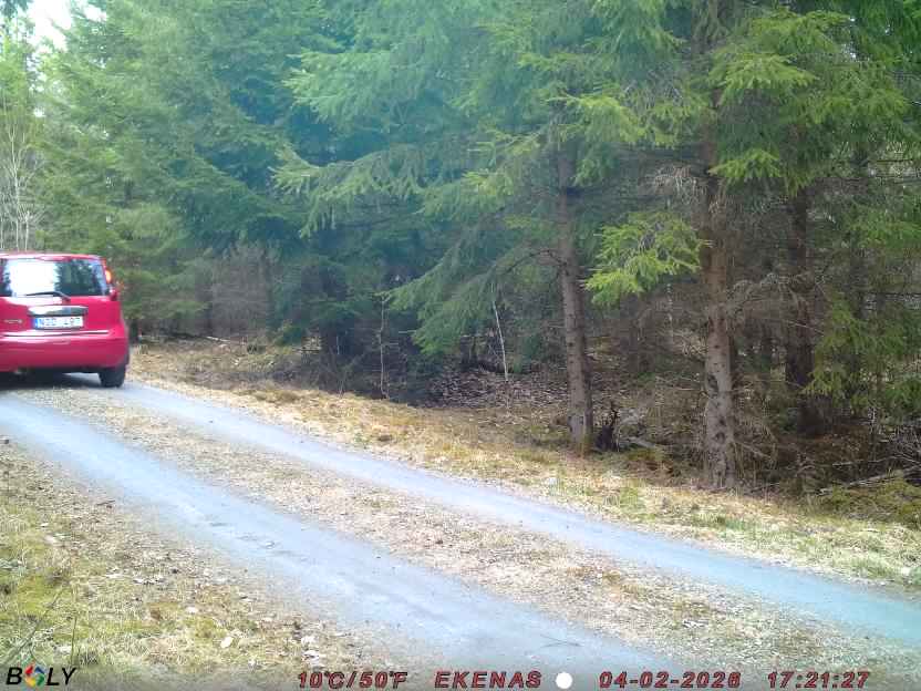 Bild från EKENÄSSALTSTEN