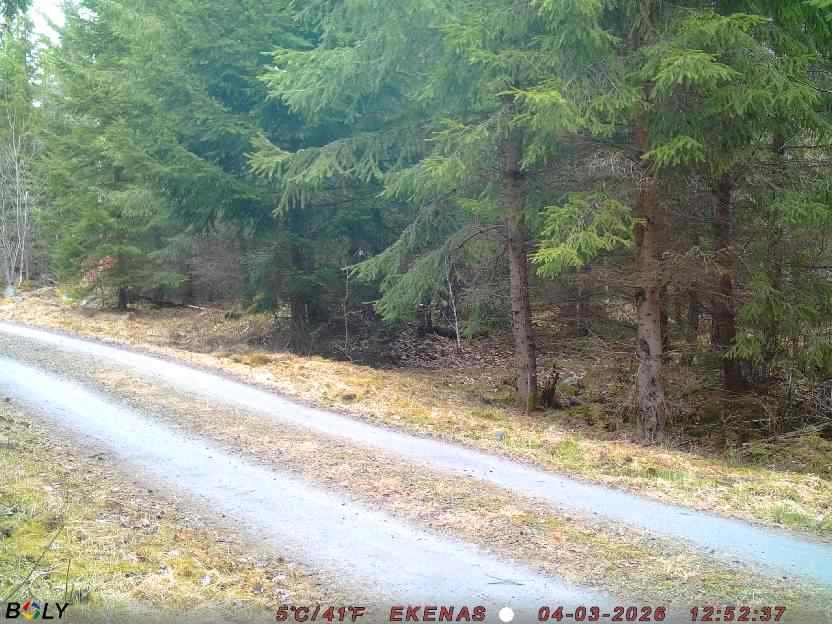 Bild från EKENÄSSALTSTEN