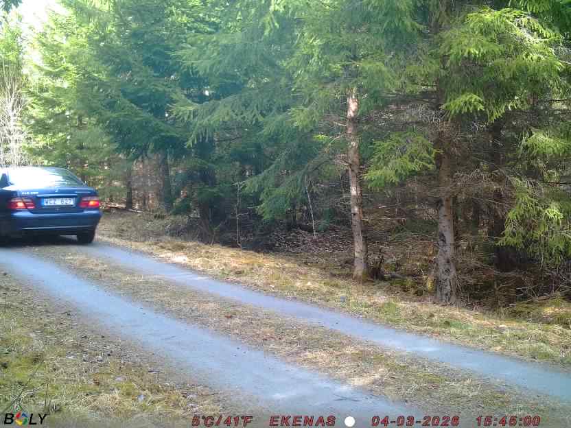 Bild från EKENÄSSALTSTEN